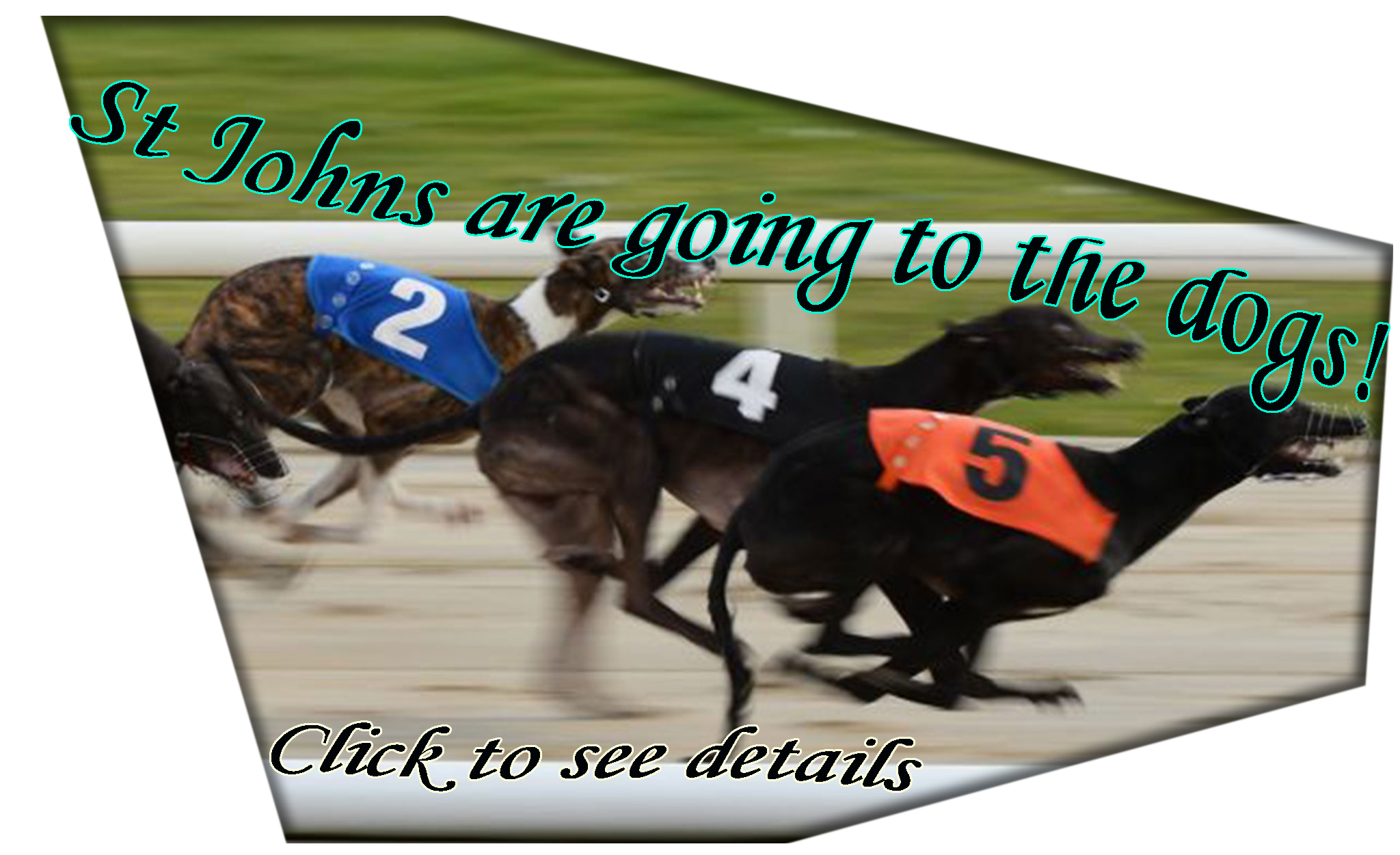 greyhound-picture